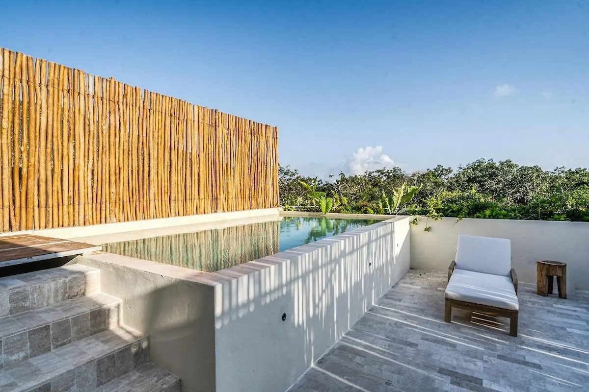 3 Bedroom Penthouse With Private Pool & Sunset Terrace Tulum Apartment