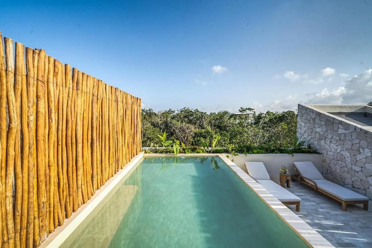 3 Bedroom Penthouse With Private Pool & Sunset Terrace Tulum Apartment